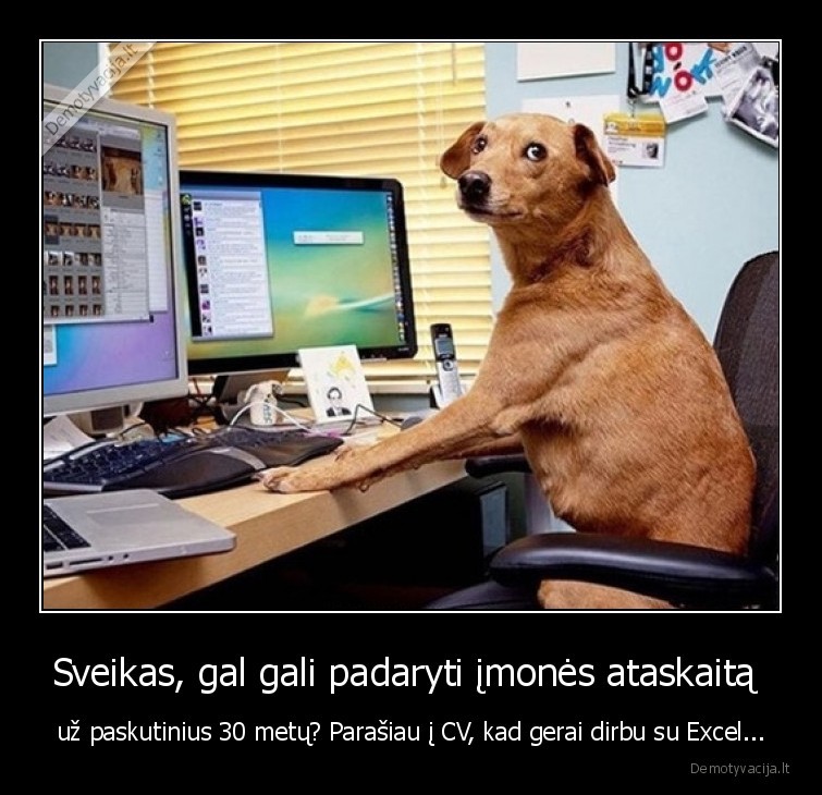 darbas,cv,suo,ataskaita