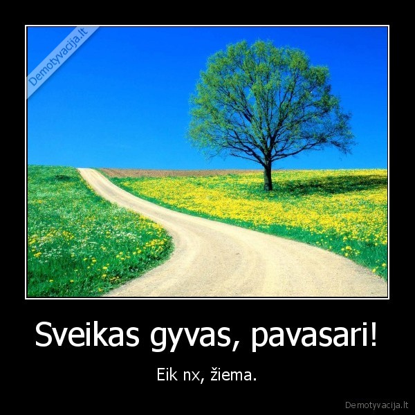 vasara,pavasaris,ziema,sniegas,saltis,siluma,lol