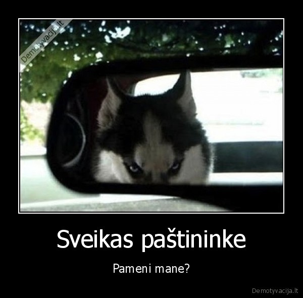 Sveikas paštininke