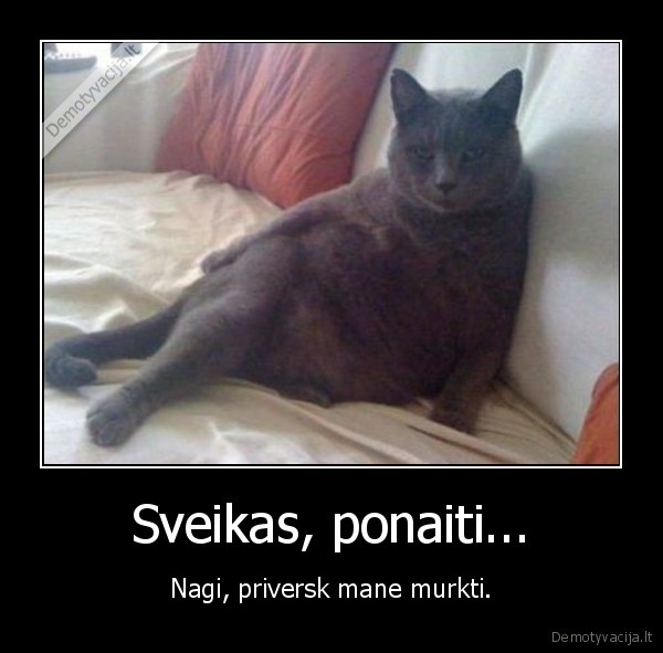 Sveikas, ponaiti...