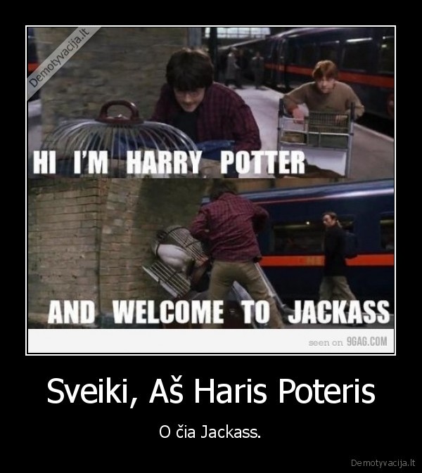 haris,poteris,haris, poteris,jackass
