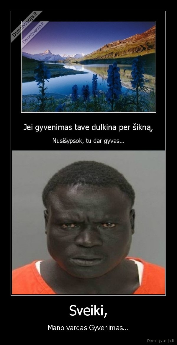 gyvenimas, gyventi