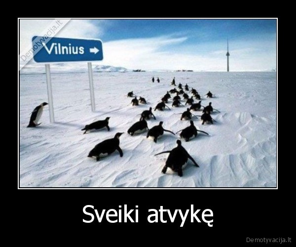 ziema,saltis,vilnius,zenklas