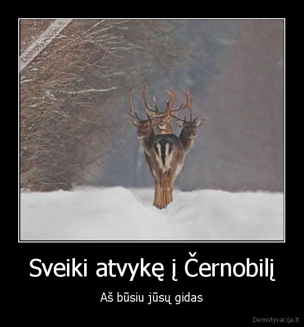 cernobilis,trigalvis, elnias,gidas