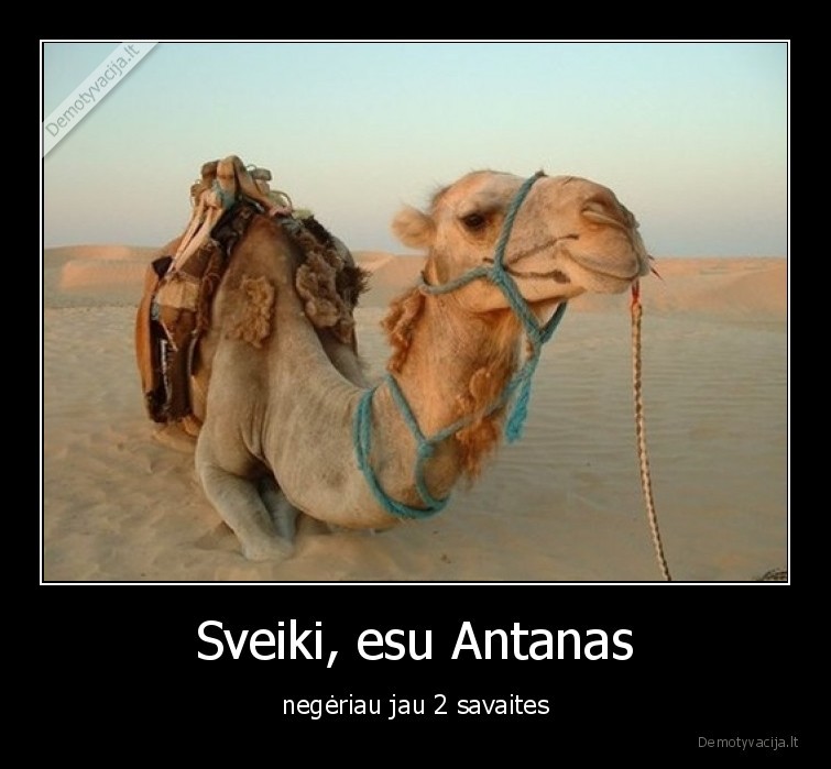 antanas,negerti,alkoholis,vanduo