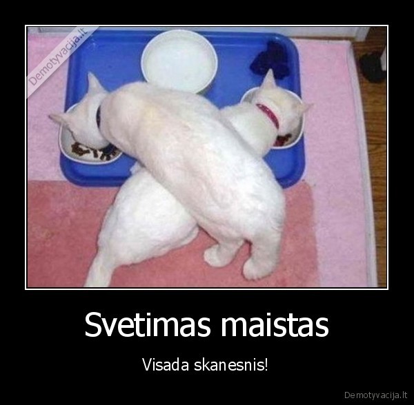Svetimas maistas
