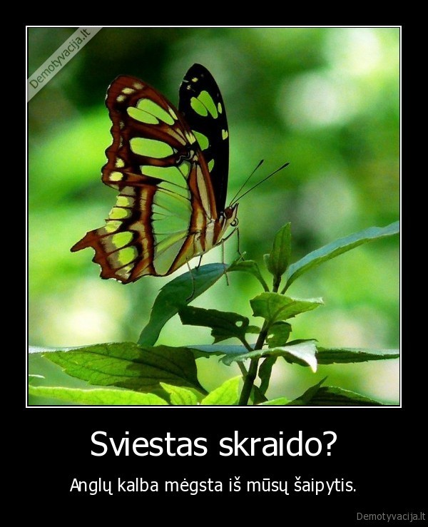 Sviestas skraido?