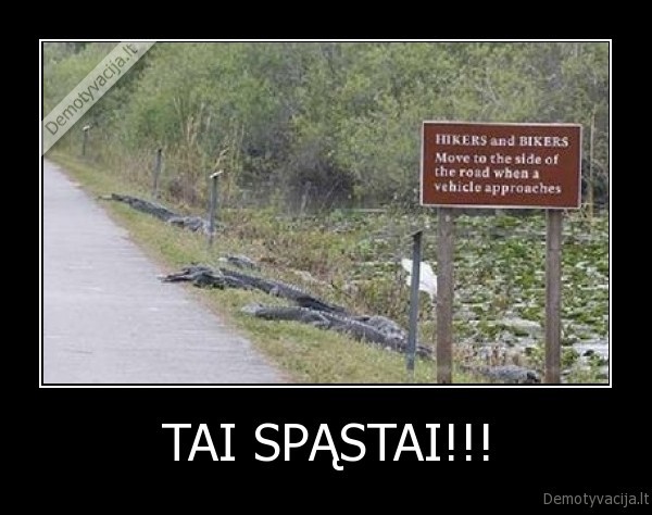 spastai,dviraciai,krokodilai