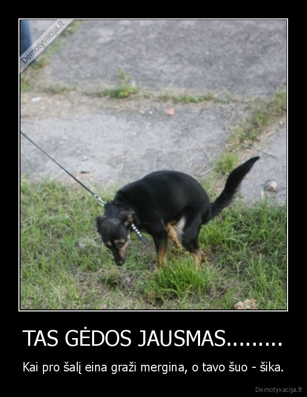 TAS GĖDOS JAUSMAS.........
