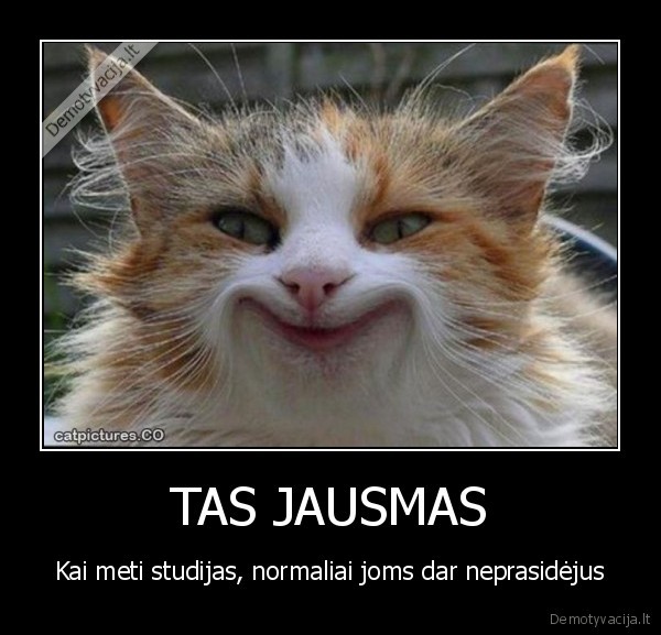 TAS JAUSMAS