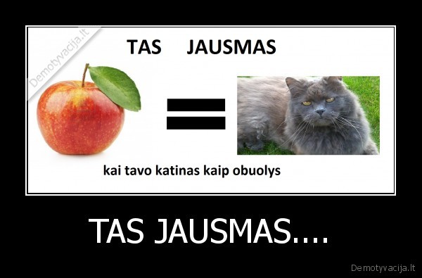 TAS JAUSMAS....