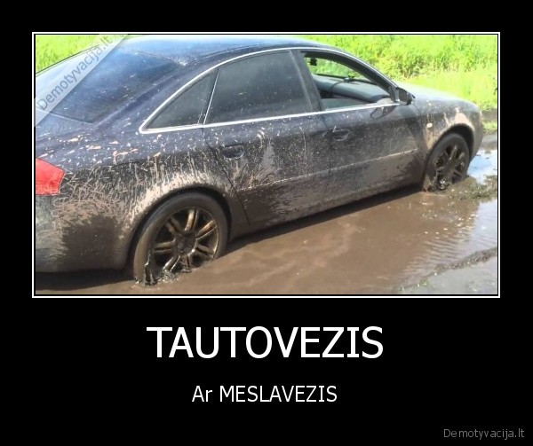 TAUTOVEZIS