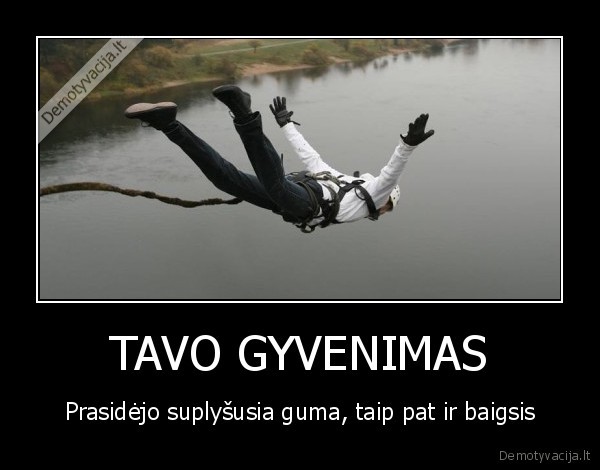 TAVO GYVENIMAS