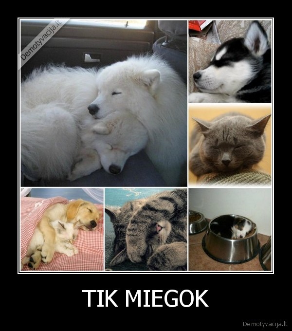 jie, labai, mieli