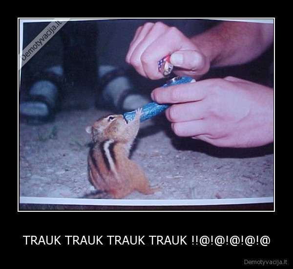 TRAUK TRAUK TRAUK TRAUK !!@!@!@!@!@