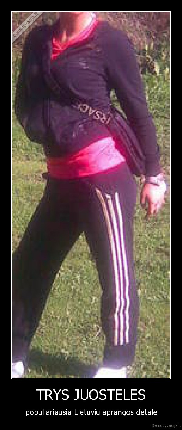 TRYS JUOSTELES