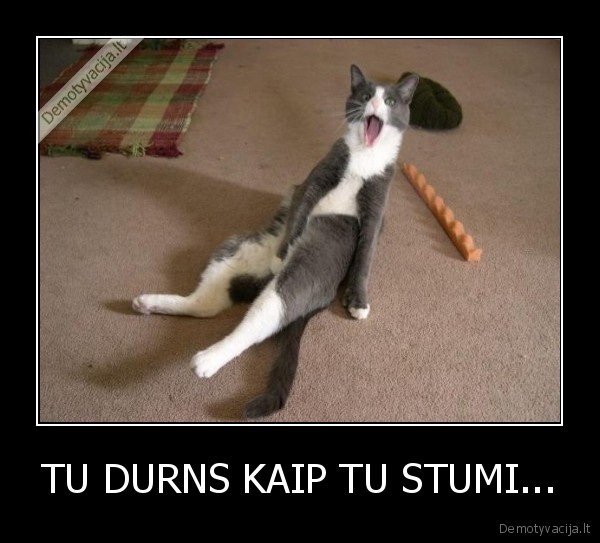 TU DURNS KAIP TU STUMI...