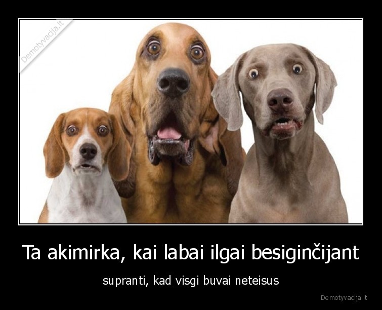 neteisus,gincas,sunys,reakcija,akimirka