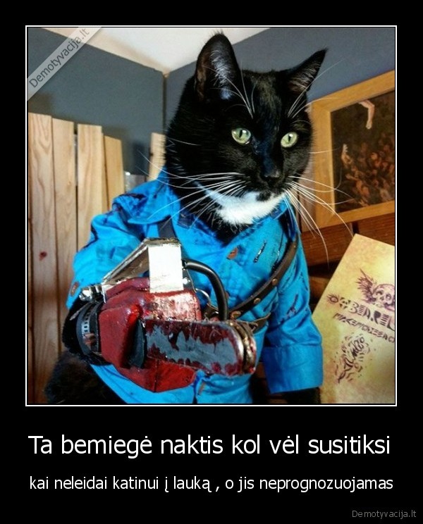 Ta bemiegė naktis kol vėl susitiksi