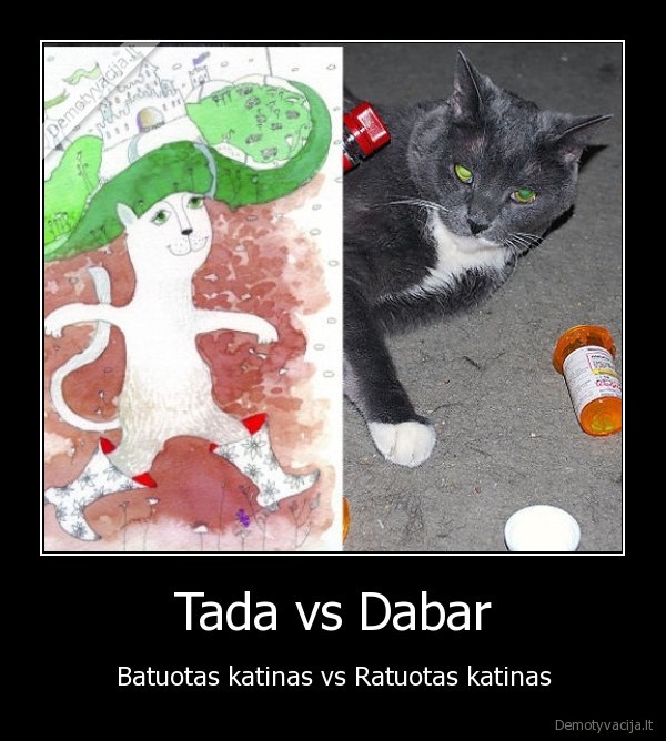 katinas,ratuotas, katinas,batuotas, katinas