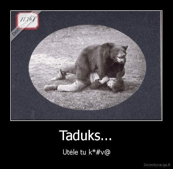 taduks, kiesa, kiesa, new, utele