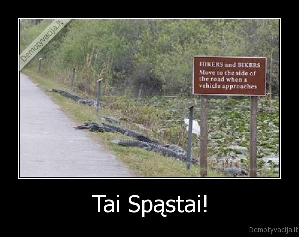 kelias,road,targeter,fun,linksma,spastai,mirtis,woah,gta,sportas,omg