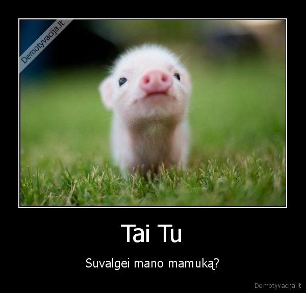 Tai Tu