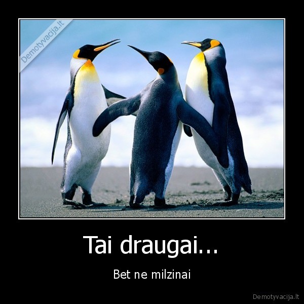 Tai draugai...