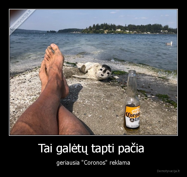 corona,alus,reklama