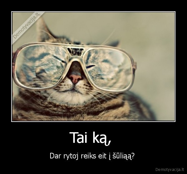 Tai ką, 