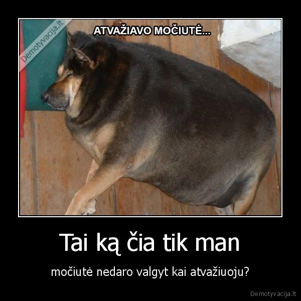 mociute