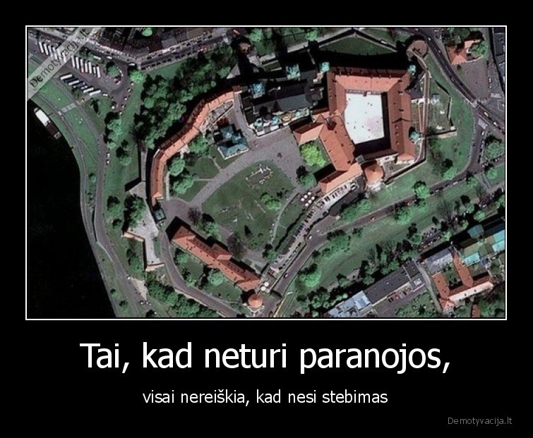 stebi,paranoja,tave