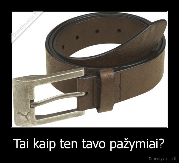 dirzas,pazymiai