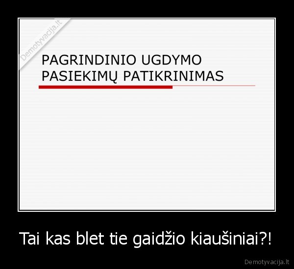 Tai kas blet tie gaidžio kiaušiniai?!
