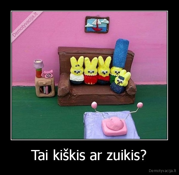 kiskis,zuikis