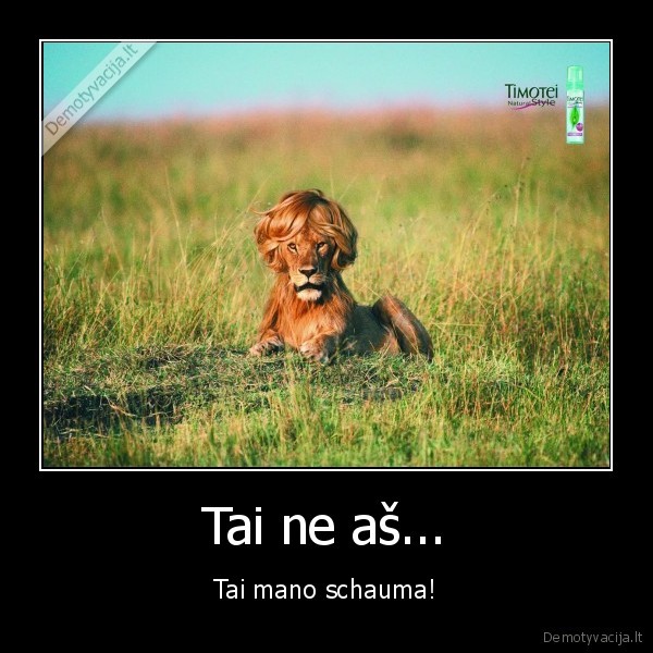 schauma