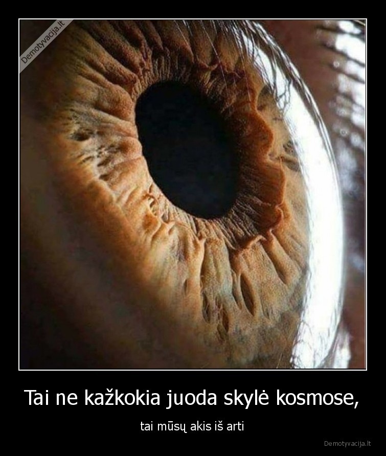 akis,zmogus,is,arti