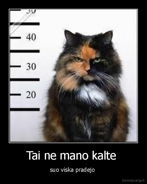 Tai ne mano kalte 