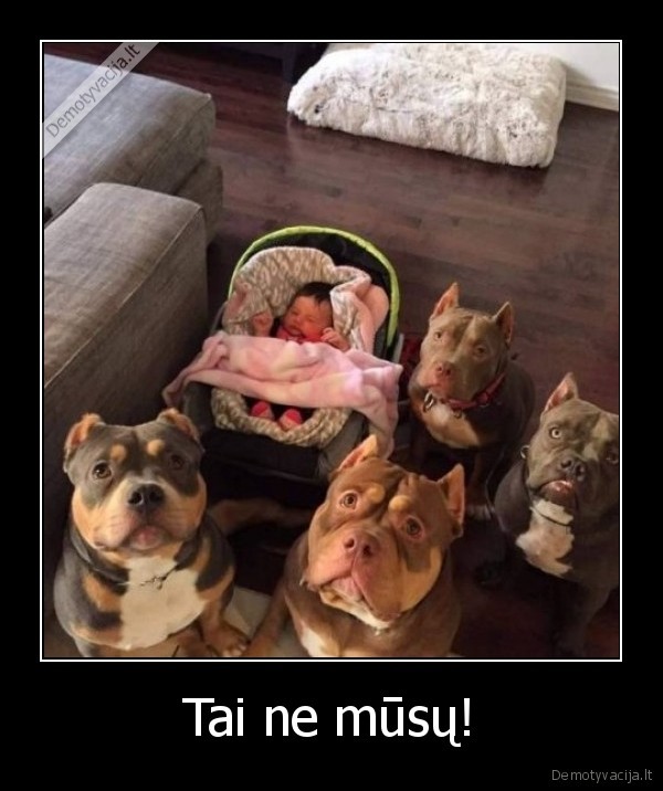 ne, musu,vaikas