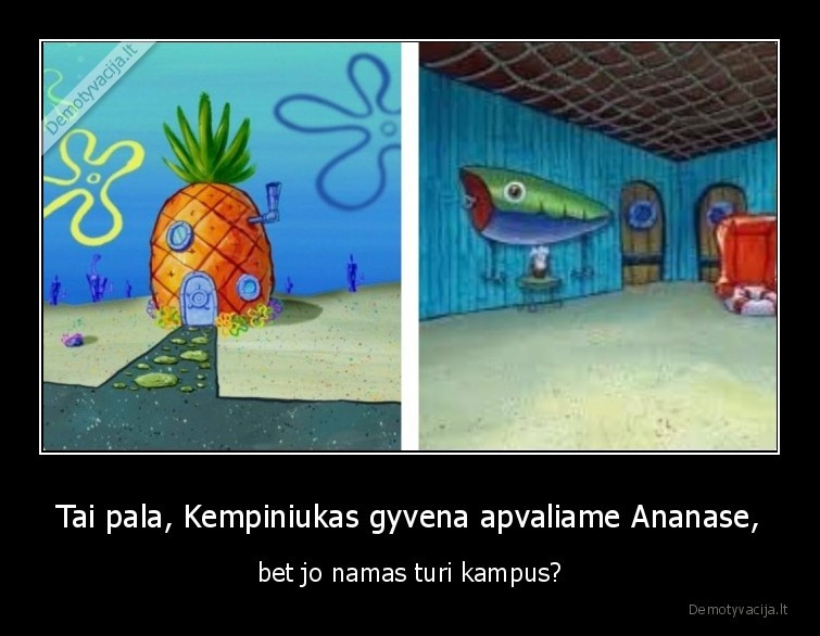 kempiniukas,ananasas,kampai,apvalus