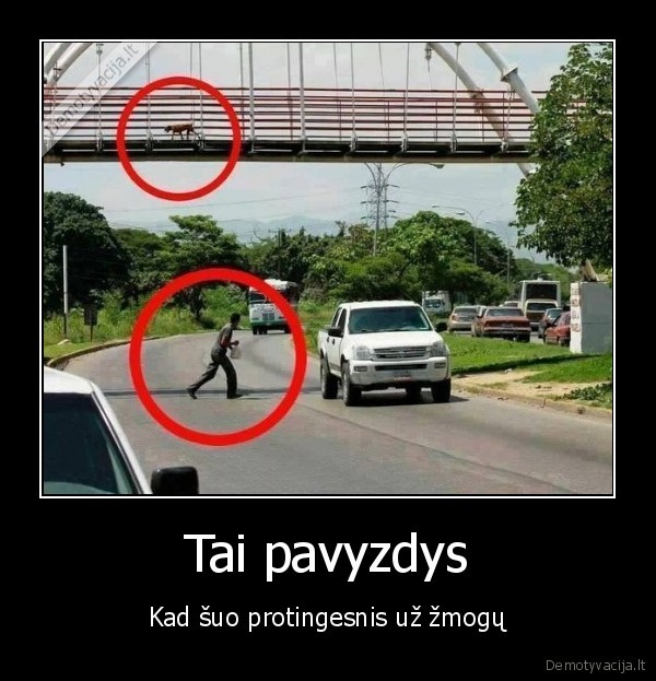 Tai pavyzdys
