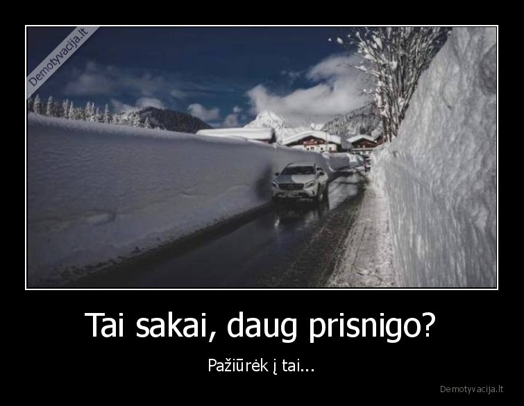 sniegas,prisnigo,ziema