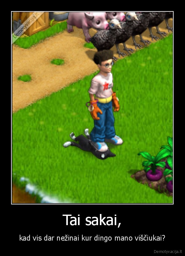 zaidimai