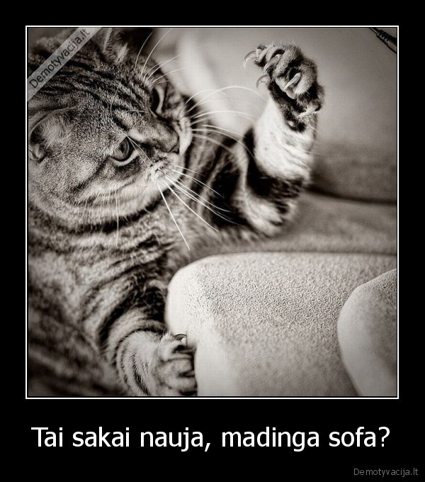 Tai sakai nauja, madinga sofa?