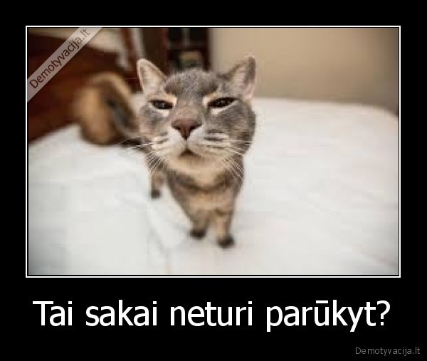 Tai sakai neturi parūkyt?