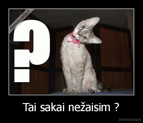 problem