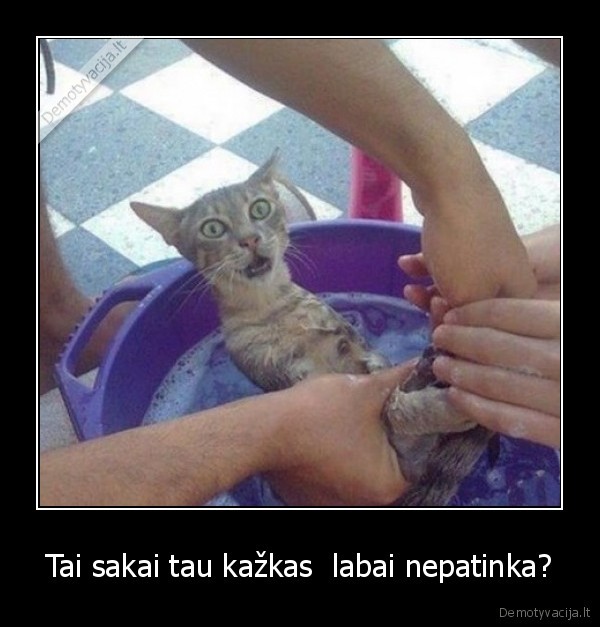 Tai sakai tau kažkas  labai nepatinka?