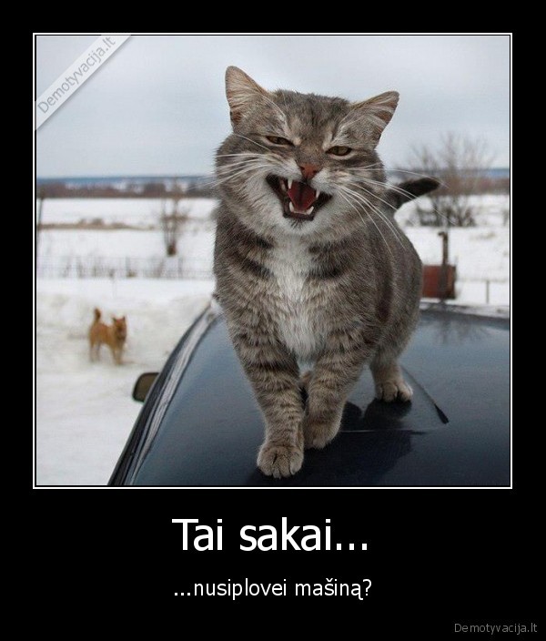 Tai sakai...