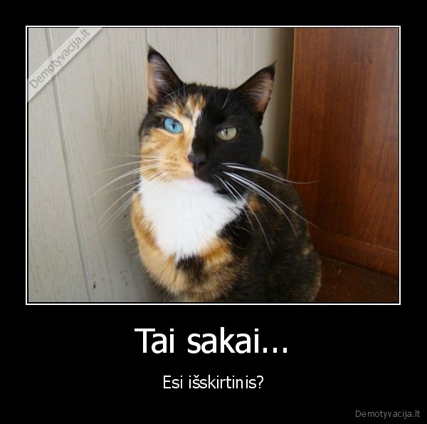 Tai sakai...