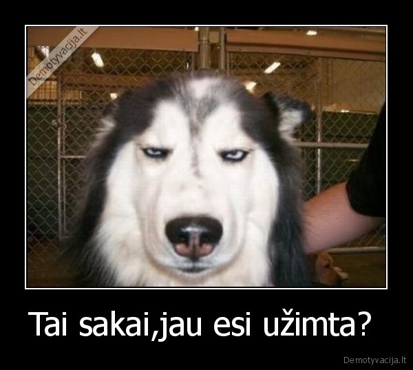 Tai sakai,jau esi užimta? 